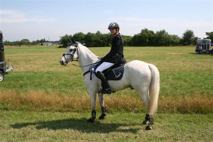 Anden særlig race Chagall - 3. plads til Copenhagen Horseshow, han var virkelig den bedste <333 foto: min far billede 11