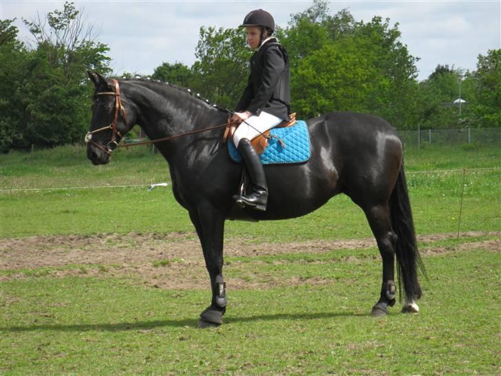 Oldenborg Mahal (gamel part)  - Fotograf: Kamilla M. Jensen billede 3