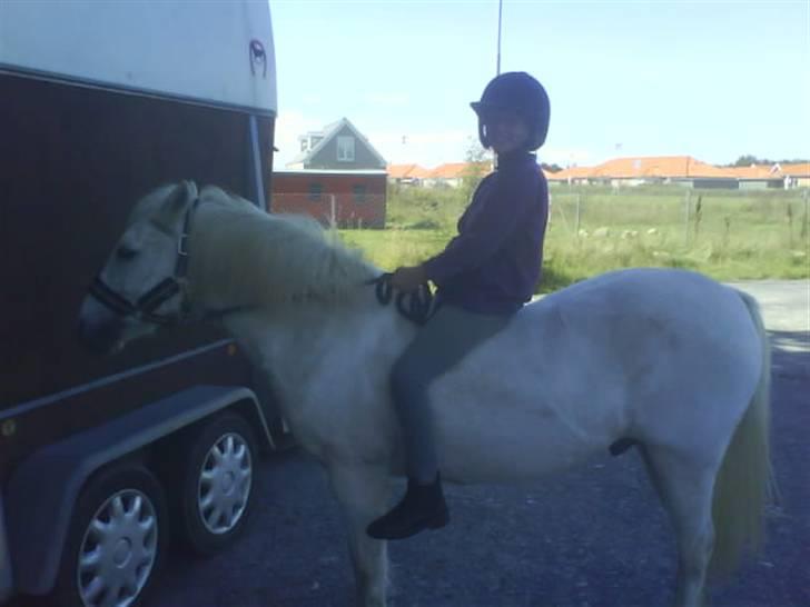 Anden særlig race Moultons patrick - mig og patrick :) billede 5