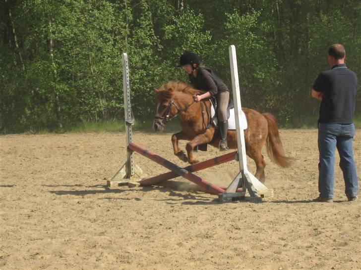 Anden særlig race Kenzo  - 2) Kenzo og jeg til vores første springtime. Her på et opvarmningsspring:D Foto: Ida billede 2