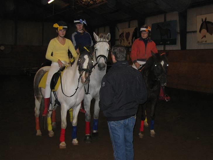 Anden særlig race Chagall (solgt) billede 13