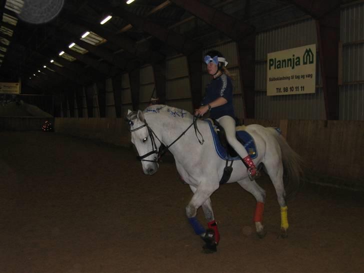 Anden særlig race Chagall (solgt) billede 14