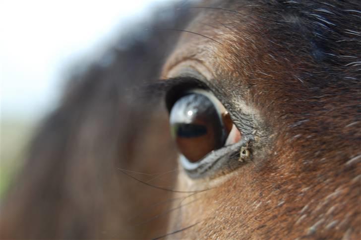 DSP Satisfaction "Solgt" billede 17