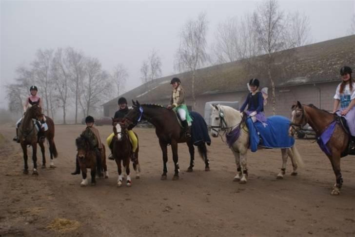 Dansk Varmblod Primadonna  - Prima´en og jeg længst til venstre. Fastelavnsstævne HRR 2009. billede 5