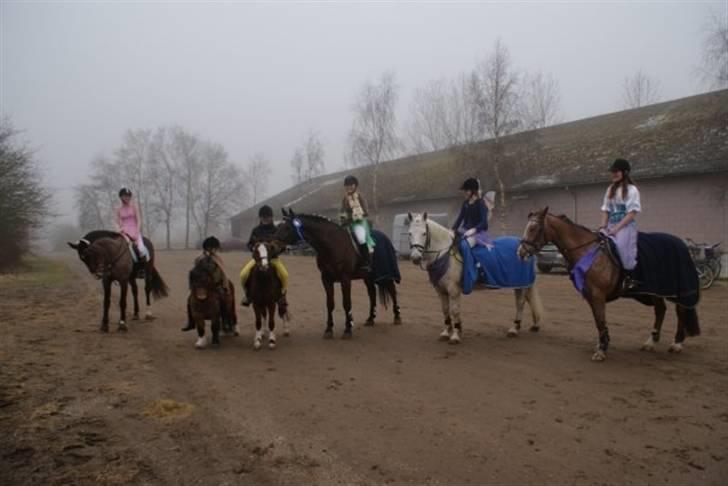Dansk Varmblod Primadonna  - Prima´en og jeg længst til venstre. Fastelavnsstævne HRR 2009. billede 6