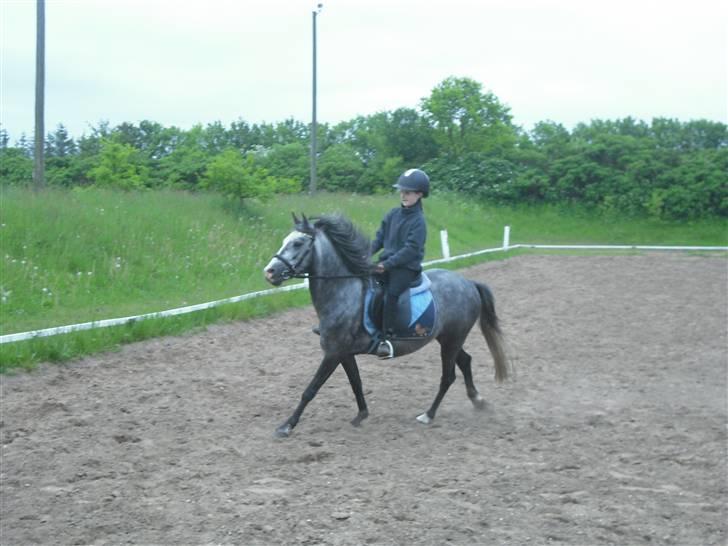 Anden særlig race hannibal - Velkommen til Hannibal´s profil<3 billede 1