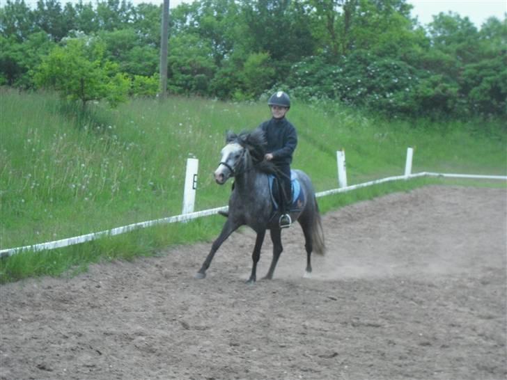 Anden særlig race hannibal - ....<3 billede 4