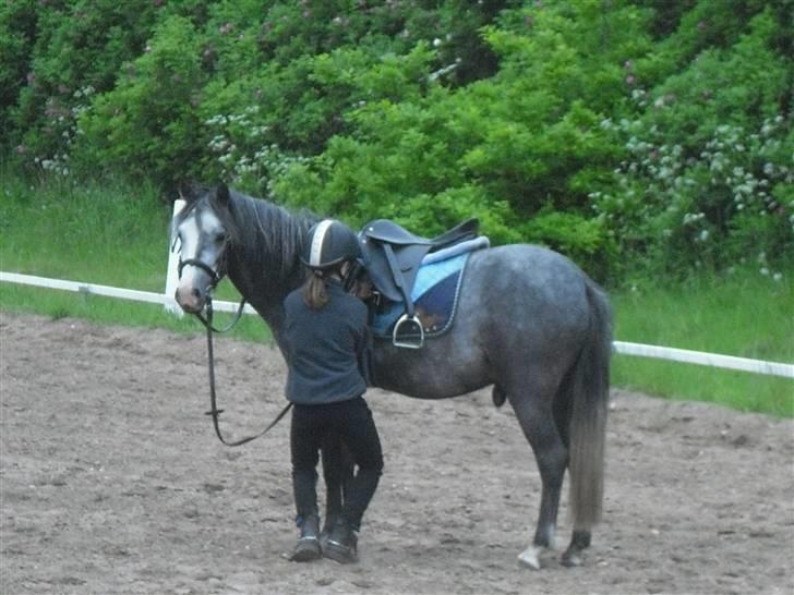Anden særlig race hannibal billede 6