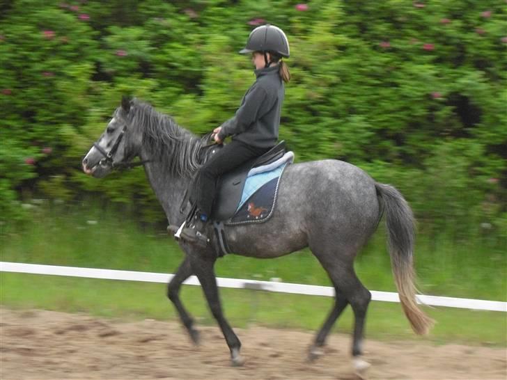 Anden særlig race hannibal billede 7