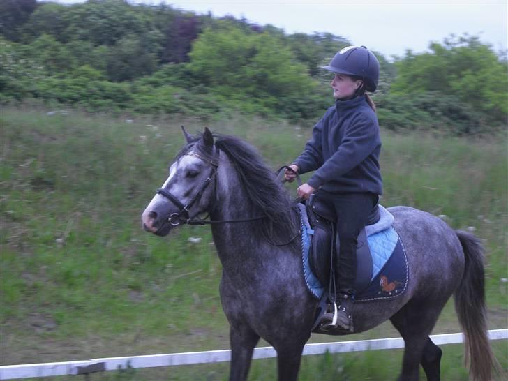 Anden særlig race hannibal billede 8