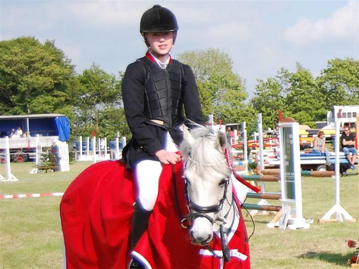 Anden særlig race Ariel - SJM hold mig og ariel du så sej  billede 10