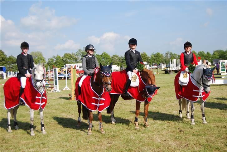 Anden særlig race Ariel - SJM hold vi vandt Michela & Chivas, Rikke & Tinka, Louise & Milia Mig og Ariel vi er seje billede 11