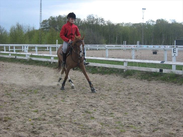 Anden særlig race Cindy H - Elsker dig skat.!<3  billede 8