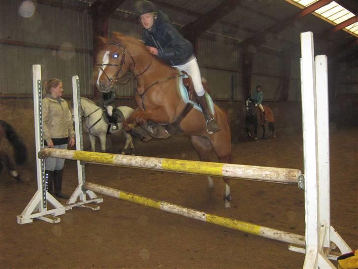 Anden særlig race Cindy H - Magic og Kia opvarming til stævnet i Horsens hendes første stævne på magic + magic første C-stævne :) billede 10