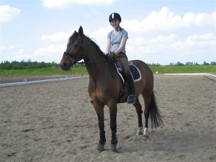 Dansk Varmblod Vistahl Finesse - Så blev det endelig maj, fuglene pipper og vi har endelig fået taget et billede udenfor... billede 14