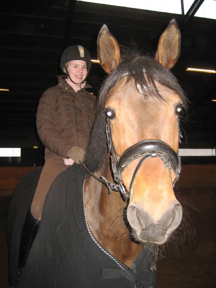 Dansk Varmblod Vistahl Finesse - Ser vi ikke glade ud? billede 15