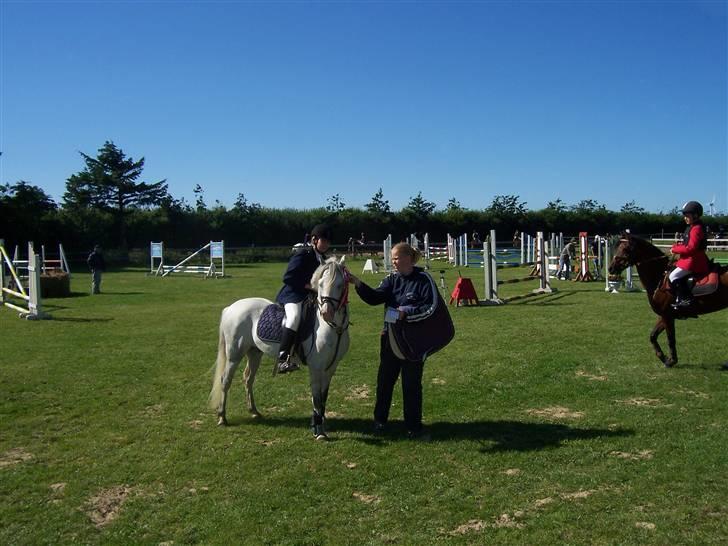 Welsh Pony (sec B) Nørgaardens Nico-SOLGT billede 14