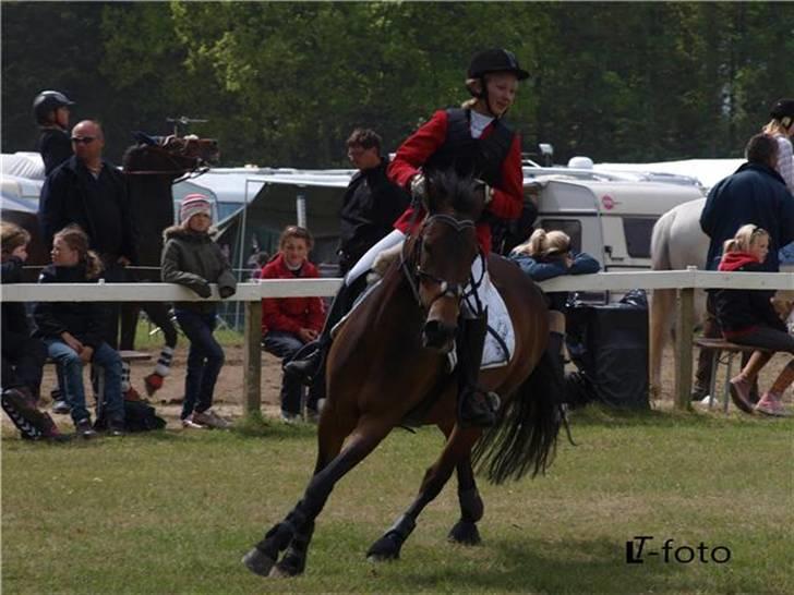 New Forest Miss Jeanette ( solgt )<3 - Jeanette og mig på mors XD fotograf: Line og Trine Pedersen ;P billede 17