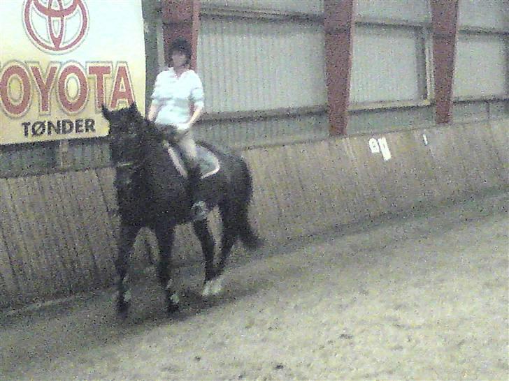 Oldenborg Mira *gammel part* billede 6