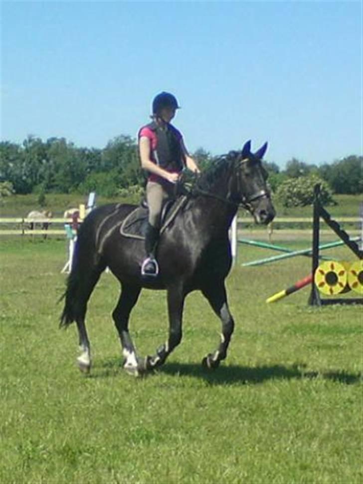 Oldenborg Mira *gammel part* - Spring undervisning juli 2009 billede 8