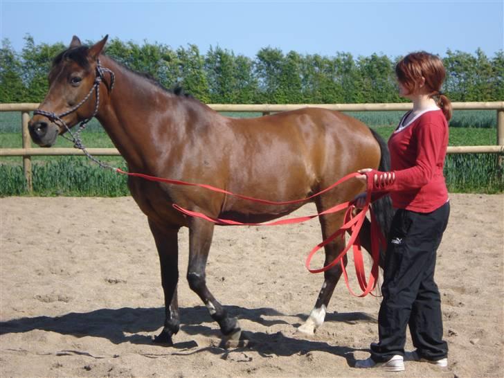 Anden særlig race fnuggi*solgt* billede 11