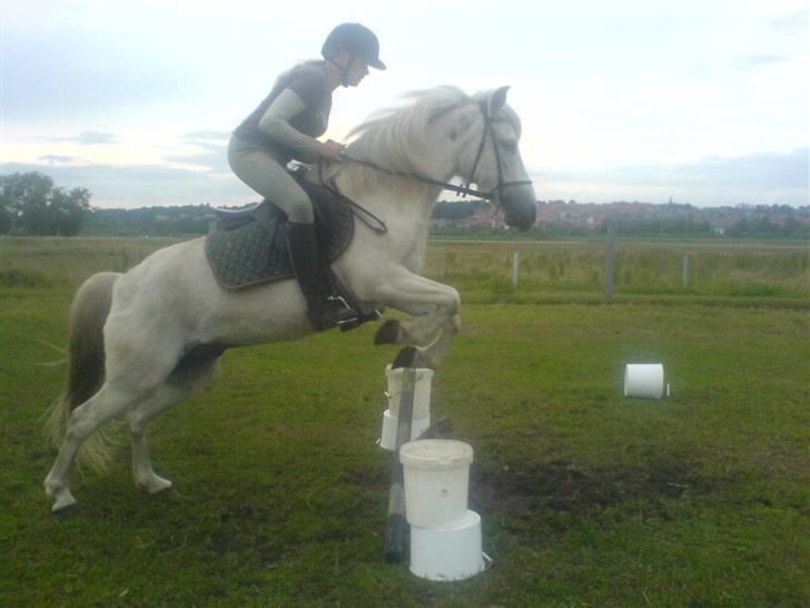 Anden særlig race Blackie (rider ikke mere) - hehe, jep sidder bare dårligt på ham, men hvor gammel er jeg lige? hmm 12-13 år billede 7
