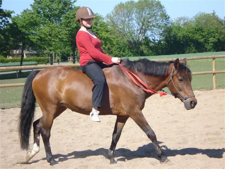 Anden særlig race fnuggi*solgt* billede 14