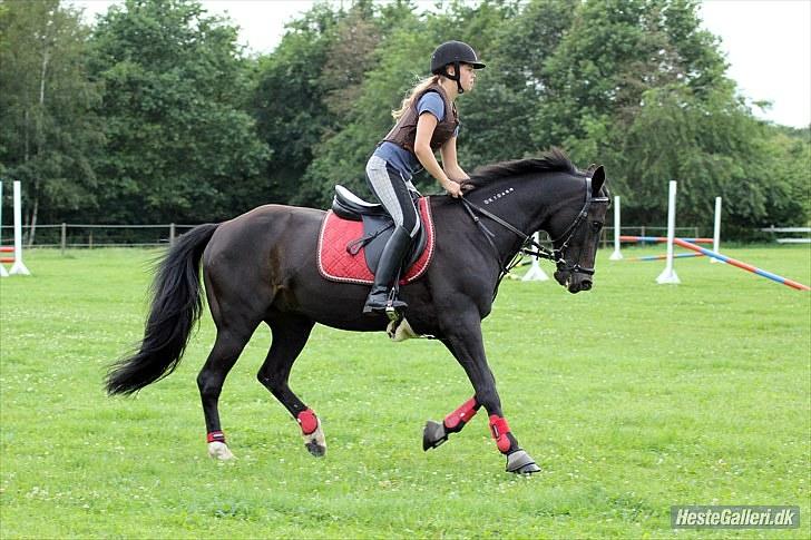 Traver Tokama - Fordi Prins er dejlig ((: <3 billede 10