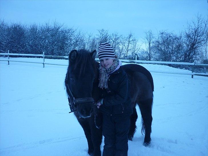 Anden særlig race Sputnik - Velkommen til Sputniks profil :) Jeg har haft Sputnik i 2 år og har haft de mest fantastiske oplevelser!! <3 jeg elsker hende utrolig højt! Lig en kommentar :) billede 1