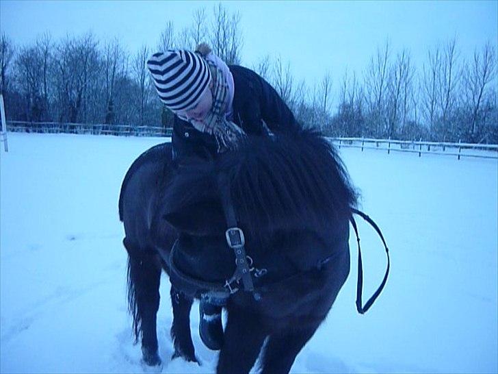 Anden særlig race Sputnik - Så hyggelig dag med dig!  billede 2