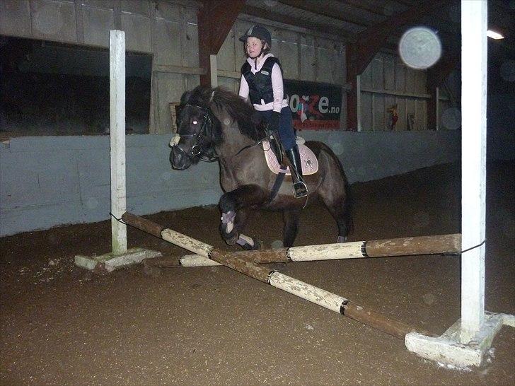 Anden særlig race Sputnik - Du var fantastisk og springe på! :) billede 3