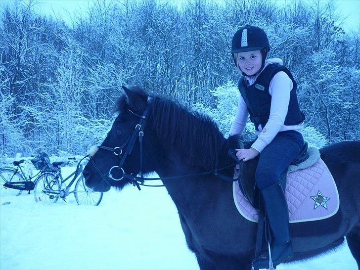 Anden særlig race Sputnik - En lille tur efter vi har sprunget :) billede 4