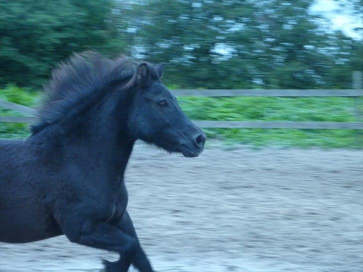 Anden særlig race Sputnik - Du er Så smuk! Elsker dit hoved <3 billede 6