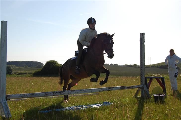 DSP Satisfaction "Solgt" billede 19