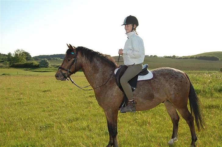 DSP Satisfaction "Solgt" billede 20