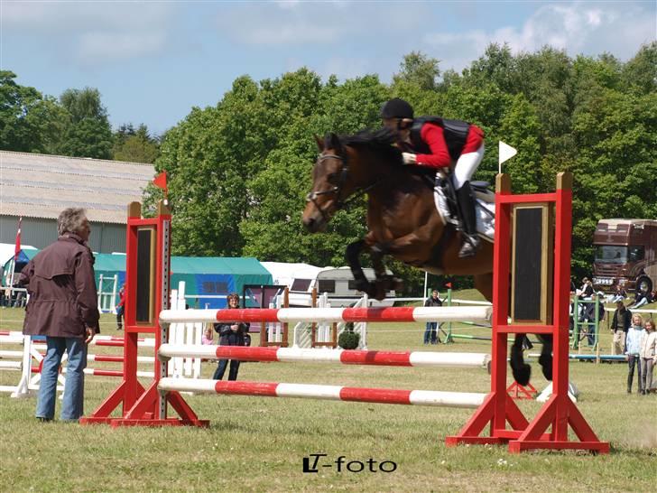 New Forest Miss Jeanette ( solgt )<3 - mors LA fotograf: Line og Trine Pedersen billede 19