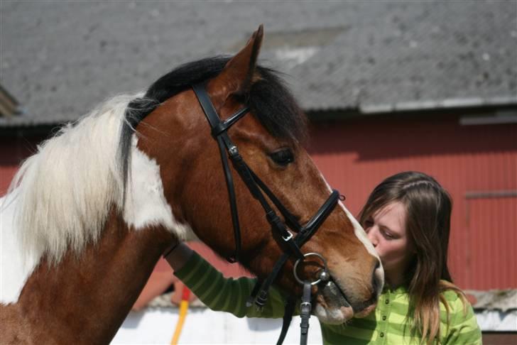 Anden særlig race Stormvind - SOLGT - 12.april 2009 - <3 billede 5