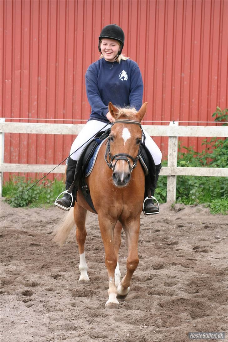 Anden særlig race picasso<3(gl.part:( !!!!) billede 14