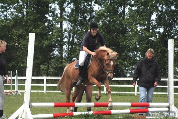 Anden særlig race picasso<3(gl.part:( !!!!) billede 16