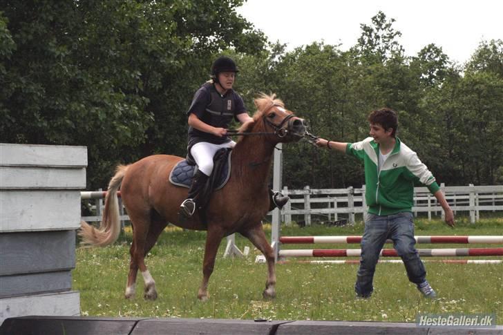 Anden særlig race picasso<3(gl.part:( !!!!) - ingen dumme komen tar billede 17