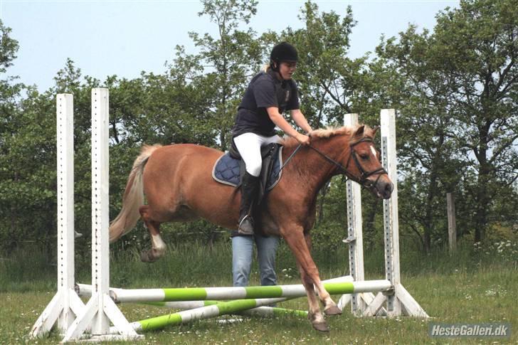 Anden særlig race picasso<3(gl.part:( !!!!) billede 18