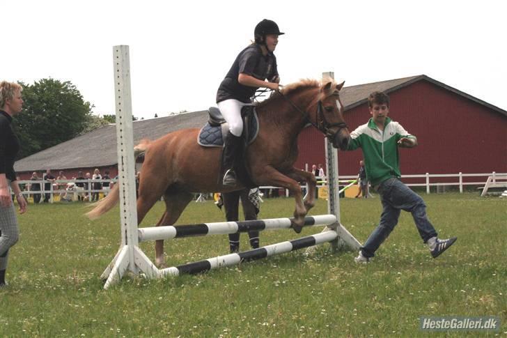 Anden særlig race picasso<3(gl.part:( !!!!) - picasso gad ikke at springe så christoffer hjalp billede 19