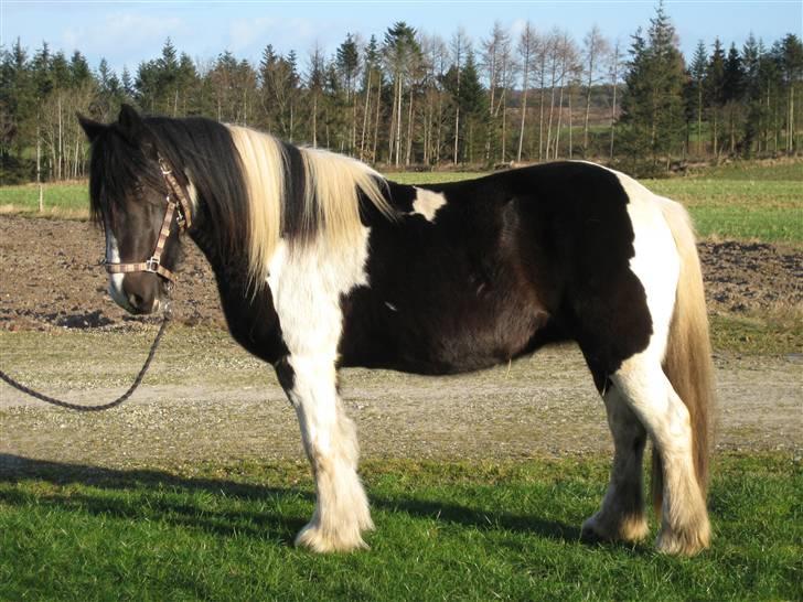 Tinker Indiana billede 1