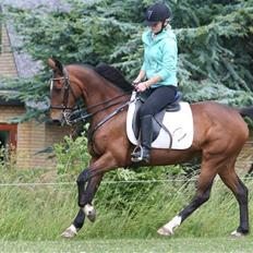 DSP Brunett ( L ) RIP!