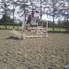 Anden særlig race La Santa