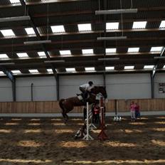 Anden særlig race Magic lady (maggie)passer