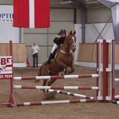 Anden særlig race Magic lady (maggie)passer