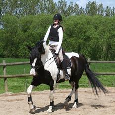 Anden særlig race Snoopy - Solgt&Savnet! <3