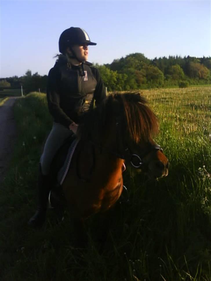 Anden særlig race Lucky/solgt. - på vej hjem  billede 15