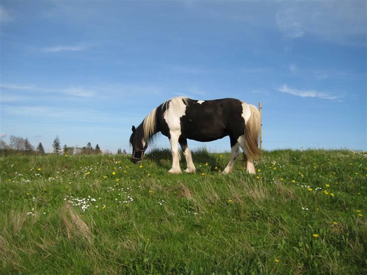 Tinker Indiana billede 2